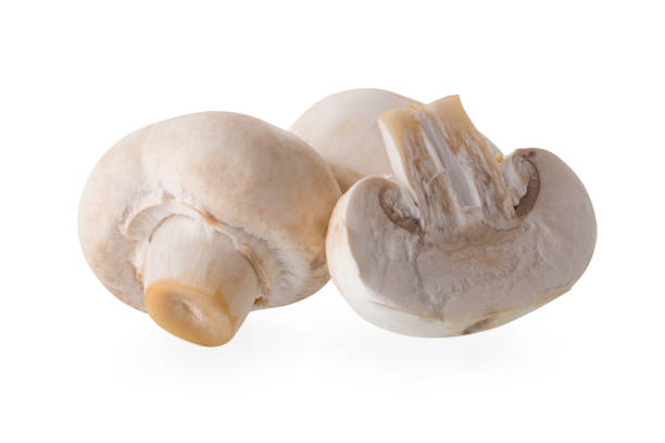 istock White champignon mushrooms, Champignon Isolated on White Background 1137966593