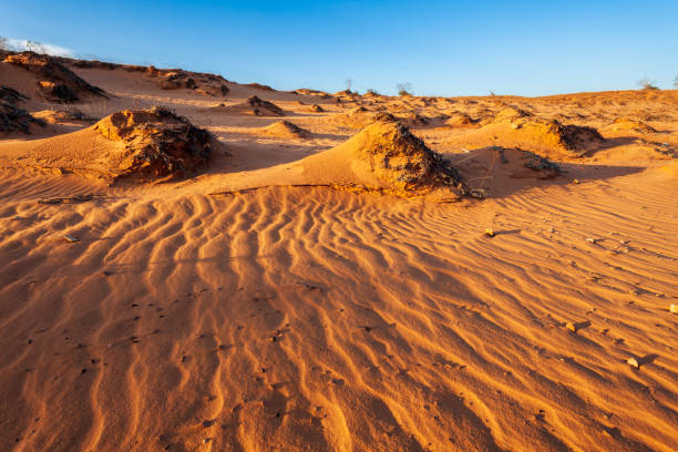 istock Sand dunes in Mui Ne 1137970522