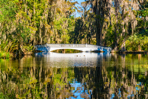 Reflection of white bridge over a lake in Magnolia Plantation in Charleston, South Carolina