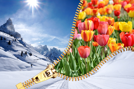 Winter Spring open Zip season transition concept. It can be used to express changing concept or passage of the time.