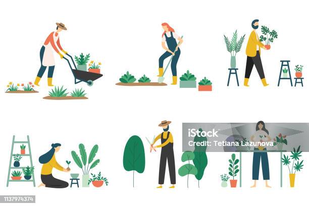 人々ガーデニング女性植栽庭園花農業庭師趣味と庭の仕事フラットベクターイラストセット - ガーデニングのベクターアート素材や画像を多数ご用意 - ガーデニング, 庭, イラストレーション