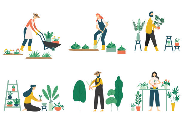 stockillustraties, clipart, cartoons en iconen met mensen tuinieren. vrouw plantentuinen bloemen, landbouw tuinman hobby en tuin baan platte vector illustratie set - plant illustraties