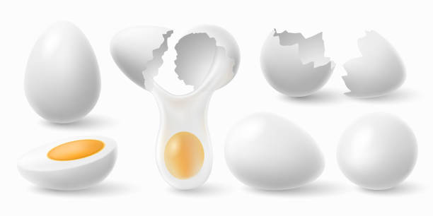 Chicken eggs. White easter egg, cracked eggshell and boiled egg 3d realistic vector illustration set Chicken eggs. White easter egg, cracked eggshell and boiled egg. Chick farm eggs for breakfast omelette and broken eggshells or yolk. 3d realistic vector illustration symbols set broken yolk stock illustrations
