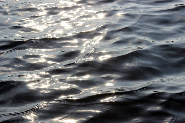 istock Background of water waves, reflecting sun, light rays 1137974501