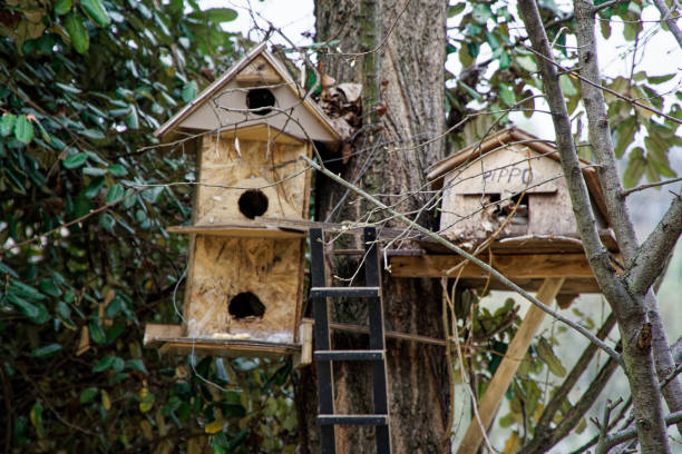istock Bird house in the tree wooden bird box. 1137975087