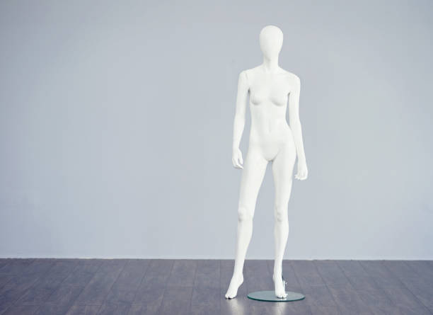 Who said this was the ideal shape of a woman? Studio shot of a white mannequin against a gray background artists model stock pictures, royalty-free photos & images