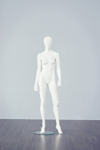 there are many other body types out there - artists figure imagens e fotografias de stock