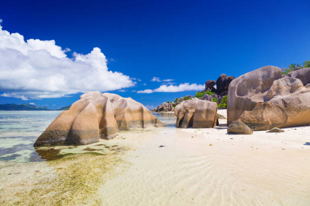 istock Tropical beach on Seychelles 1137978668