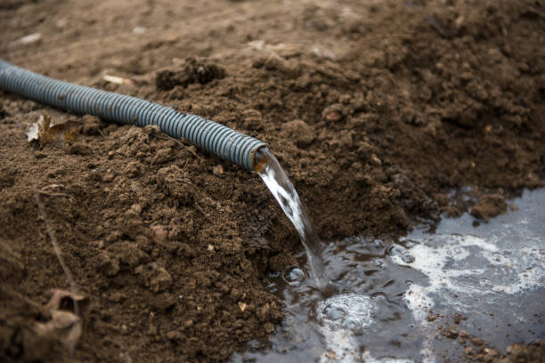 istock Water pours from a plastic hose. Watering trees 1137978679