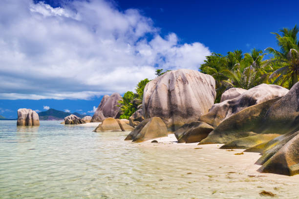 istock Tropical beach on Seychelles 1137978745