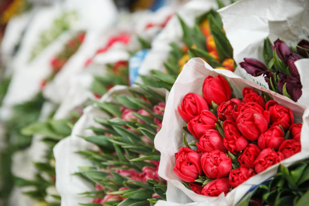 bouquet de tulipes colorées vives hollande. plusieurs bouquets de fleurs à vendre. fleurs de prairie de printemps. - flower market photos photos et images de collection