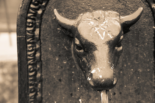 Drinking fountain bull, Retro styled Toret - Little bull - fountain in Turin, Italy