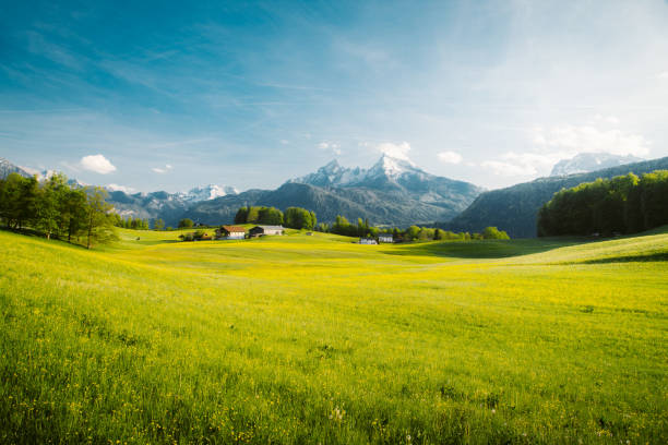 봄의 블루 밍 메도우와 알프스의 목가적인 풍경 - european alps mountain house bavaria 뉴스 사진 이미지