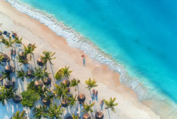 Aerial view of umbrellas, palms on the sandy beach, people, blue sea with waves at sunset. Summer holiday in Zanzibar, Africa. Tropical landscape with palm trees, parasols, white sand, ocean. Top view