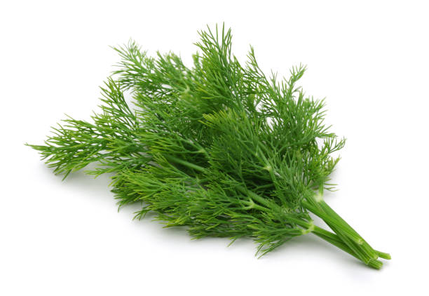 istock Fresh green dill isolated on white 1138001287