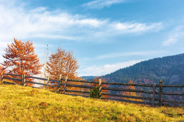 istock autumn countryside scenery in mountains 1138001313