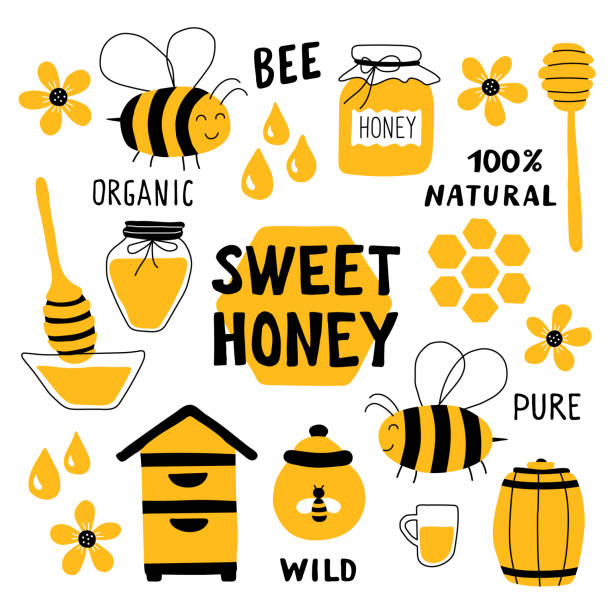 蜂蜜面白い落書きセット。養蜂、養蜂: 蜂、ハイブ、スプーン、ハニカム、ジャー、ポット。手描きベクトルイラスト。白い上に孤立したかわいい漫画オーガニック食品コレクション、。甘� - spoon honey cute jar点のイラスト素材／クリップアート素材／マンガ素材／アイコン素材