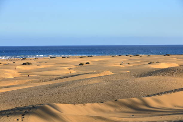 istock Sandy dunes in famous natural Maspalomas beach. Gran Canaria. Spain 1138001939