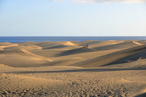 istock Sandy dunes in famous natural Maspalomas beach. Gran Canaria. Spain 1138001943