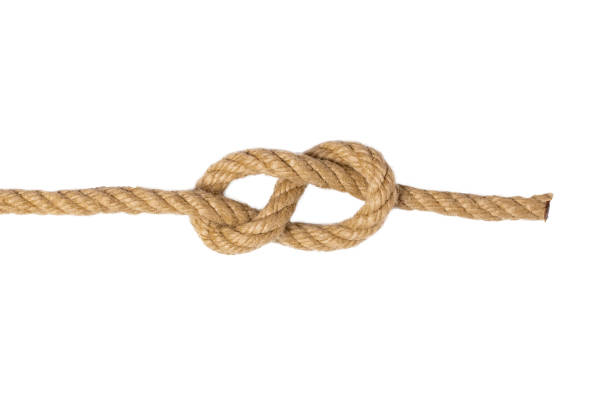 Rope Isolated Macro Of Figure Eight Node Or Knot From Two Brown