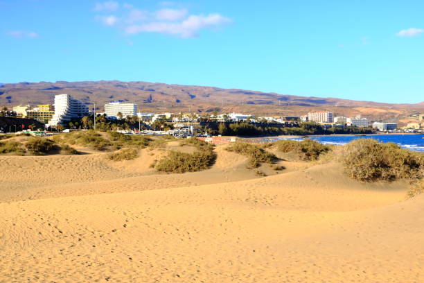 istock Sandy dunes in famous natural Maspalomas beach. Gran Canaria. Spain 1138002177