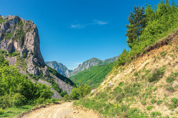 istock springtime in alba country, romania 1138002203