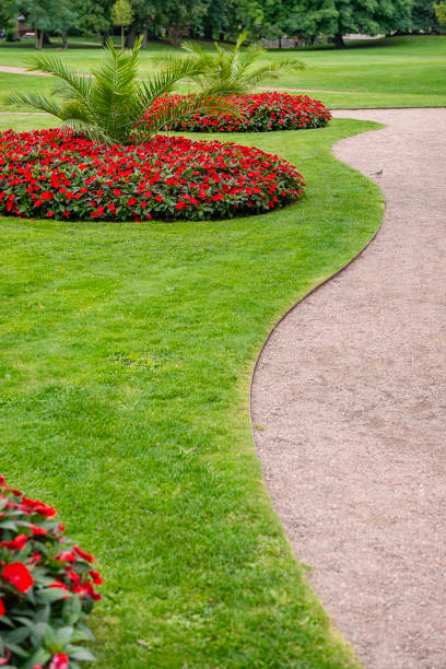 istock Summer in Gothenburg public park 1138002360