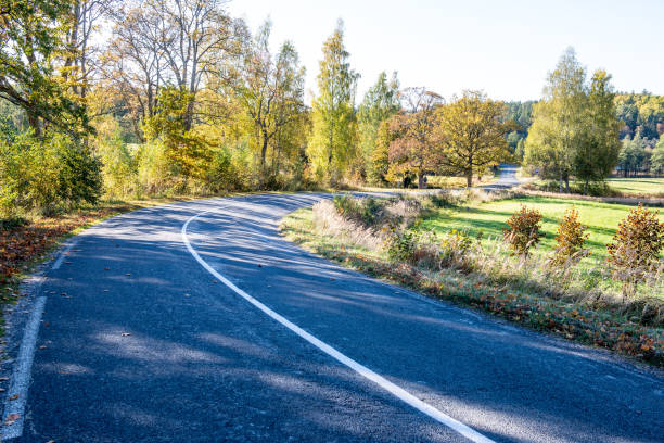 istock empty gravel road in autumn 1138003415