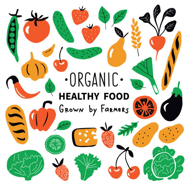 здоровая пища, набор органических продуктов. забавный каракули рисованной векторной иллюстрации. фермерский рынок мило коллекция продукт� - strawberry tomato stock illustrations
