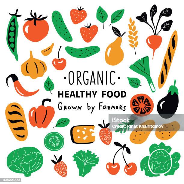 Healthy Food Organic Products Set Funny Doodle Hand Drawn Vector Illustration Farm Market Cute Food Collection Natural Fruits And Vegetables Isolated On White Stock Illustration - Download Image Now