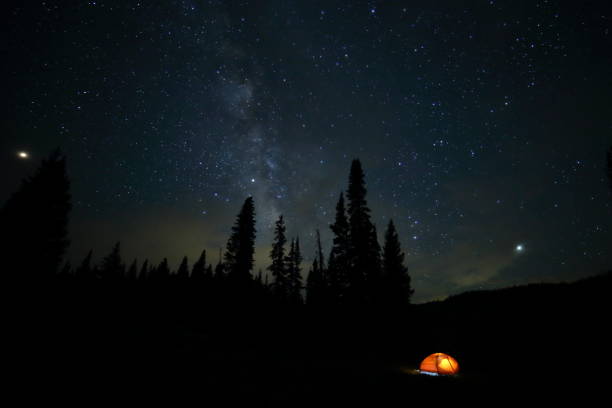 A glowing tent and the Milky Way with spruce tree silhouettes