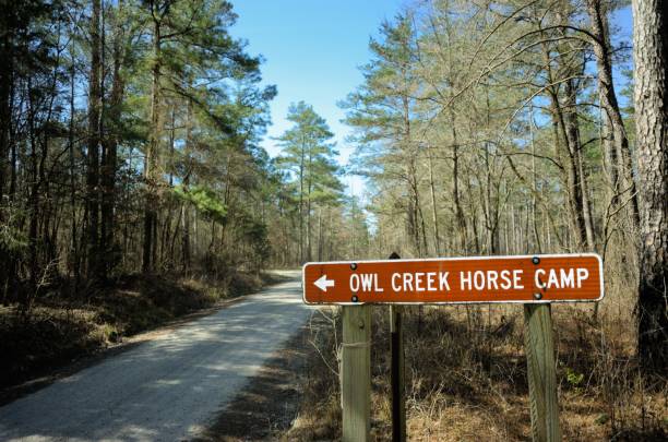 istock Owl creek horse camp sign 1138004674