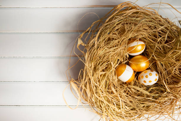 złote pisanki - animal egg eggs basket yellow zdjęcia i obrazy z banku zdjęć