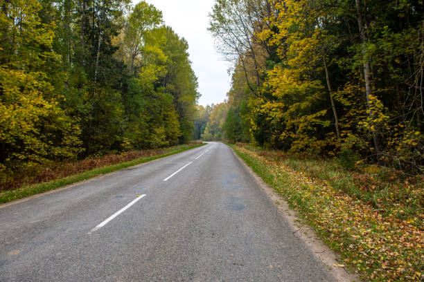 istock empty gravel road in autumn 1138005019