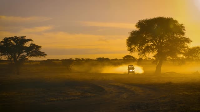 Safari Car is driving on Sand road