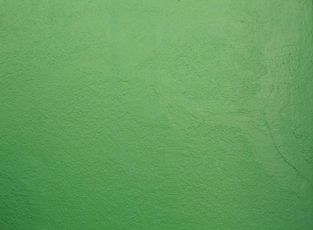 istock seamless freshly painted green colored home interior architectural design, rough grunge plain tropical textured plastered loft wall in traditional Asian house. Wallpaper, Flooring and Backdrop concept 1138009132