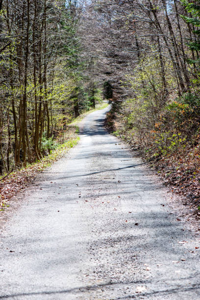 istock empty asphalt road in autumn 1138009215