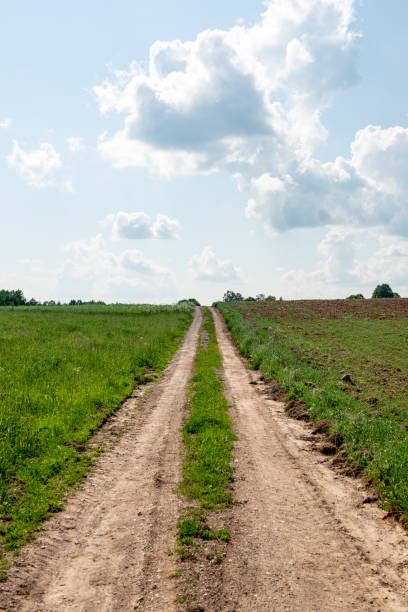 istock empty gravel road in autumn 1138009220