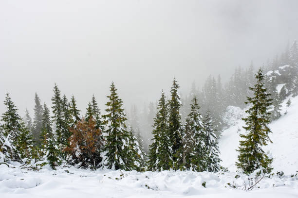 istock snow covered tourist trails in slovakia tatra mountains 1138009366