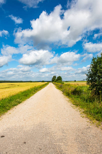 istock empty gravel road in autumn 1138009543