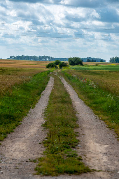 istock empty gravel road in autumn 1138009547
