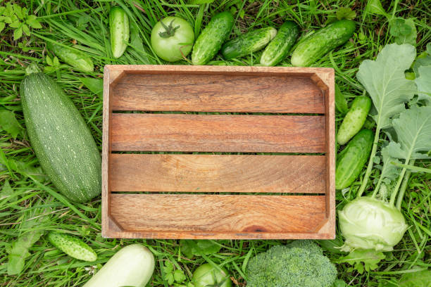 scatola di legno e verdure verdi sull'erba concetto alimentare sano raccolta - kohlrabi turnip cultivated vegetable foto e immagini stock