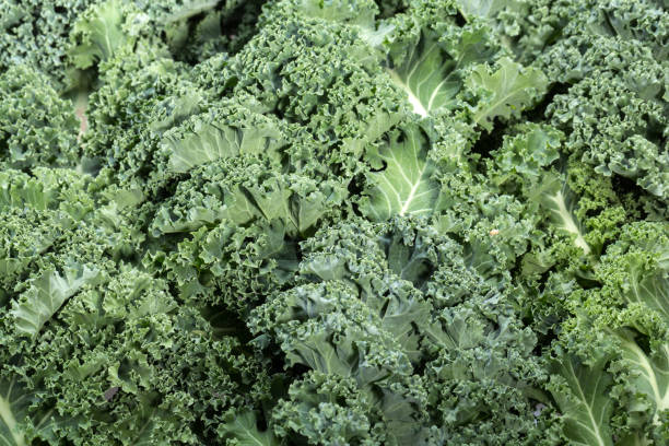 istock A healthy fresh curly kale 1138010757