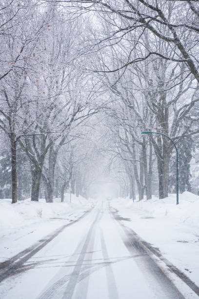 istock Snow storm in Residential Street 1138011002