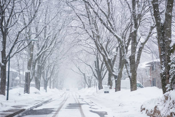 istock Snow storm in Residential Street 1138011041