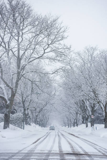 istock Snow storm in Residential Street 1138011042