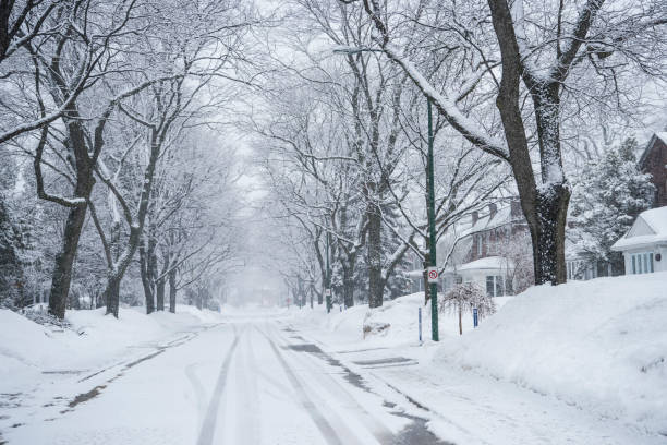 istock Snow storm in Residential Street 1138011043