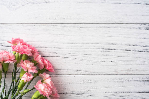 istock top view of carnation on white wooden background 1138011248
