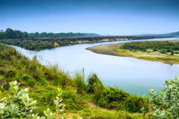 chitwan nationalpark - logboat stock-fotos und bilder