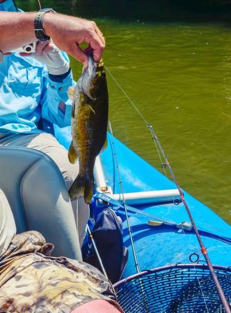 istock Fishing on rafting boat, arms holding and displaying fish 1138012662